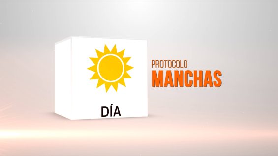PROTOCOLO MANCHAS – DIA