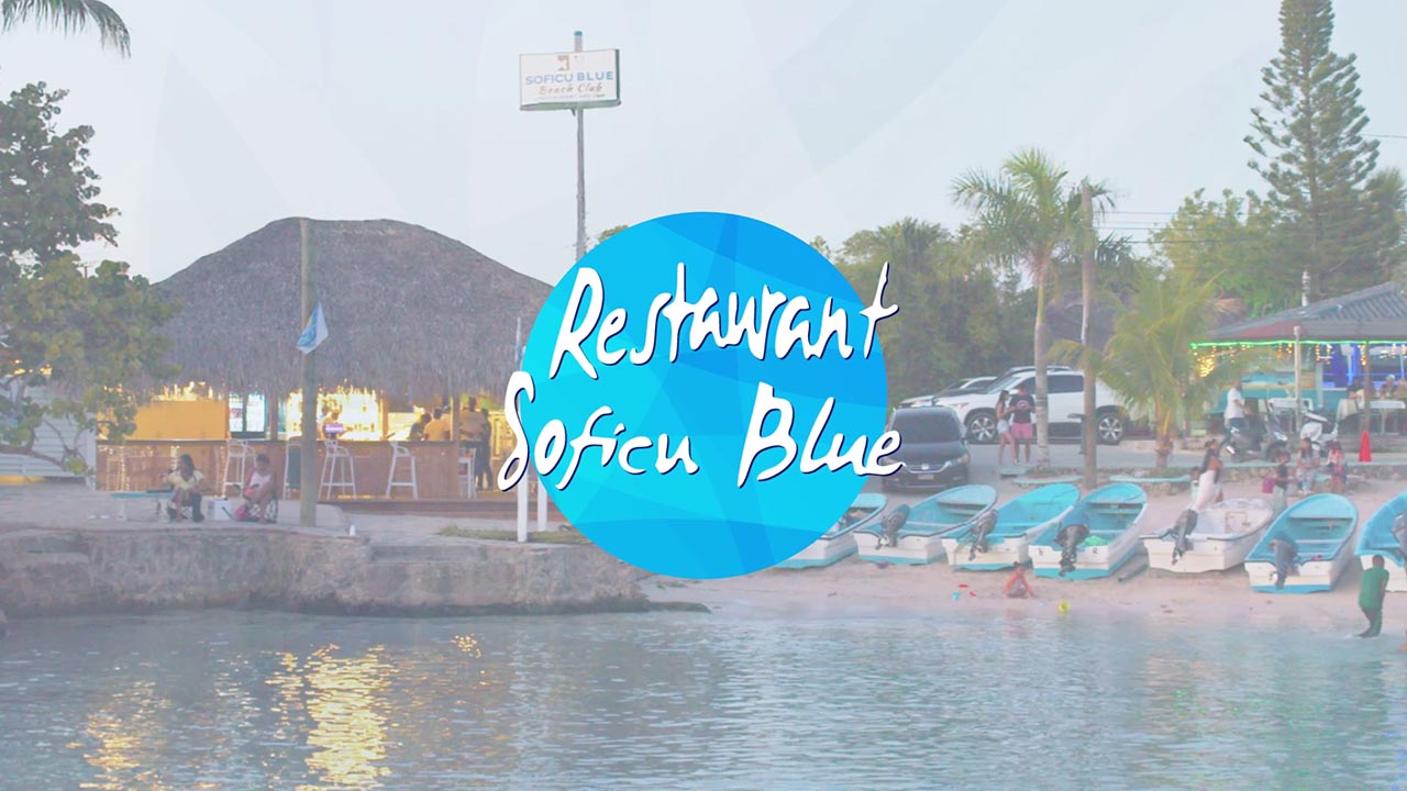 Restaurant SOFICU Blue